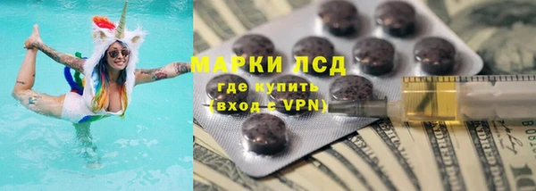 СК Вязьма